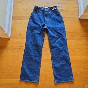 NWT Abercrombie & Fitch, The ‘90s Relaxed High Rise Jeans, Curve Love, W's 24S
